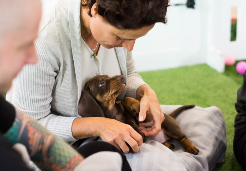 Screenshot 2025-11-17 152738